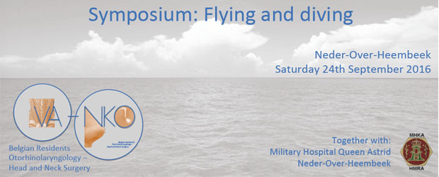 FlyinganddivingBE